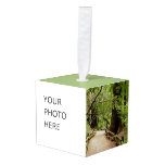 Muir Woods Path II Nature Photography Cube Ornament