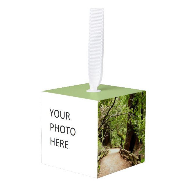 Muir Woods Path II Nature Photography Cube Ornament (Front Angled)