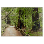 Muir Woods Path II Nature Photography Cutting Board