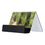 Muir Woods Path II Nature Photography Desk Business Card Holder