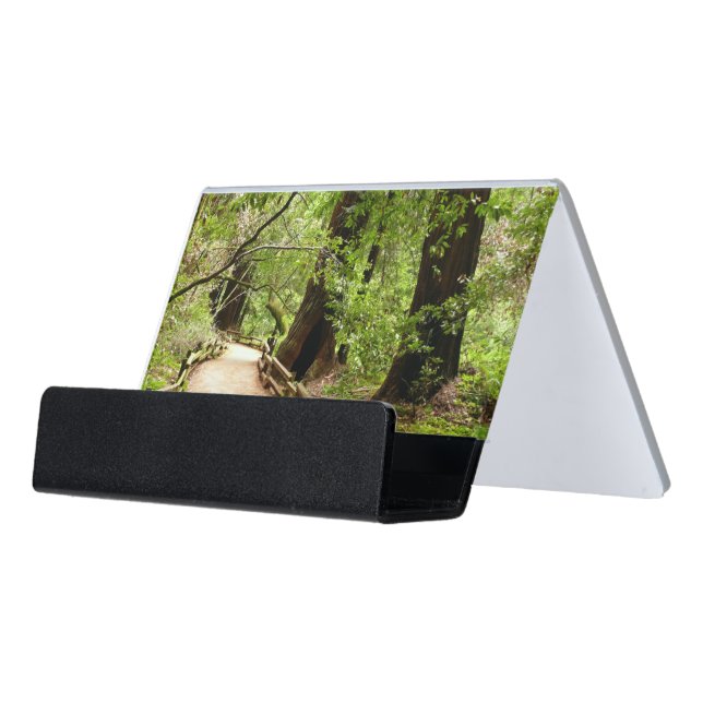 Muir Woods Path II Nature Photography Desk Business Card Holder (Angled Front)