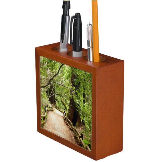 Muir Woods Path II Nature Photography Desk Organizer (In Situ)