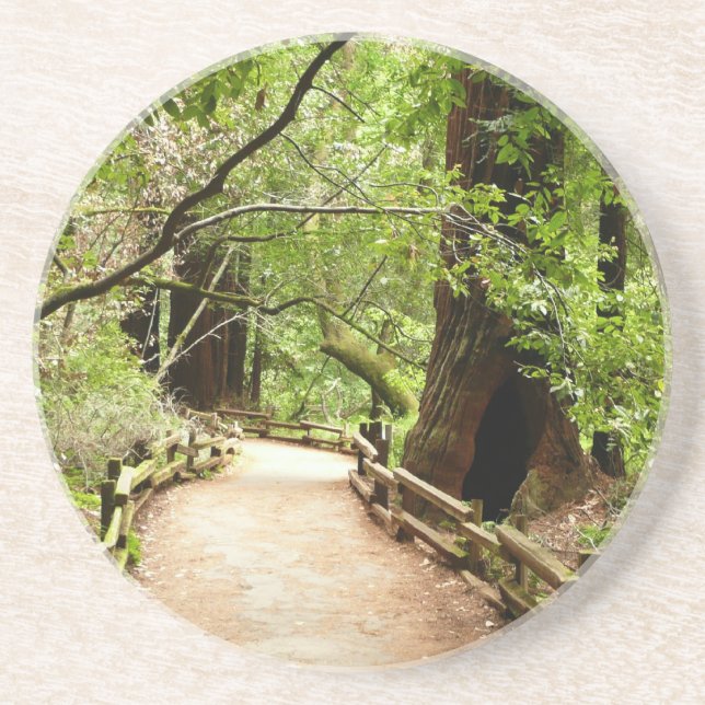 Muir Woods Path II Nature Photography Drink Coaster (Front)