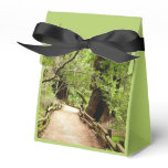 Muir Woods Path II Nature Photography Favor Boxes