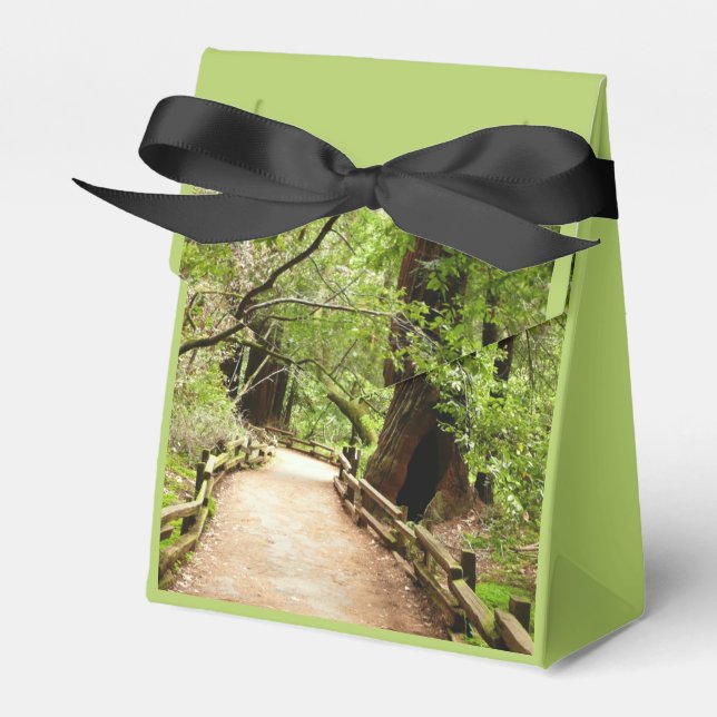 Muir Woods Path II Nature Photography Favor Boxes (Front Side)