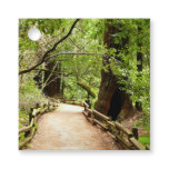 Muir Woods Path II Nature Photography Favor Tags