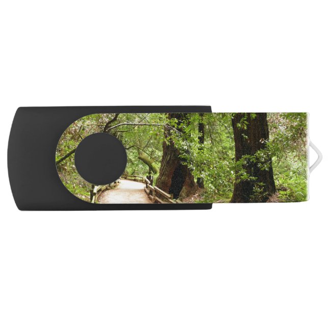 Muir Woods Path II Nature Photography Flash Drive (Front)