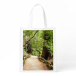 Muir Woods Path II Nature Photography Grocery Bag
