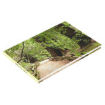 Muir Woods Path II Nature Photography Guest Book