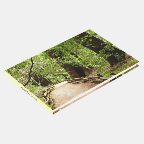 Muir Woods Path II Nature Photography Guest Book