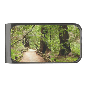 Muir Woods Path II Nature Photography Gunmetal Finish Money Clip