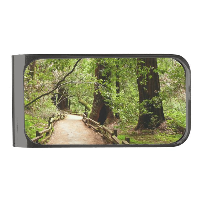Muir Woods Path II Nature Photography Gunmetal Finish Money Clip (Front)