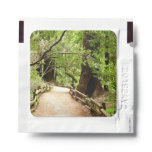 Muir Woods Path II Nature Photography Hand Sanitizer Packet