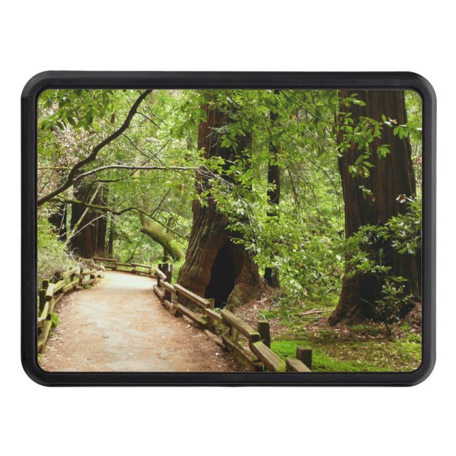 Muir Woods Path II Nature Photography Hitch Cover (Front)