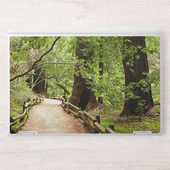 Muir Woods Path II Nature Photography HP Laptop Skin (Front)