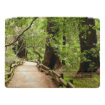 Muir Woods Path II Nature Photography iPad Pro Cover