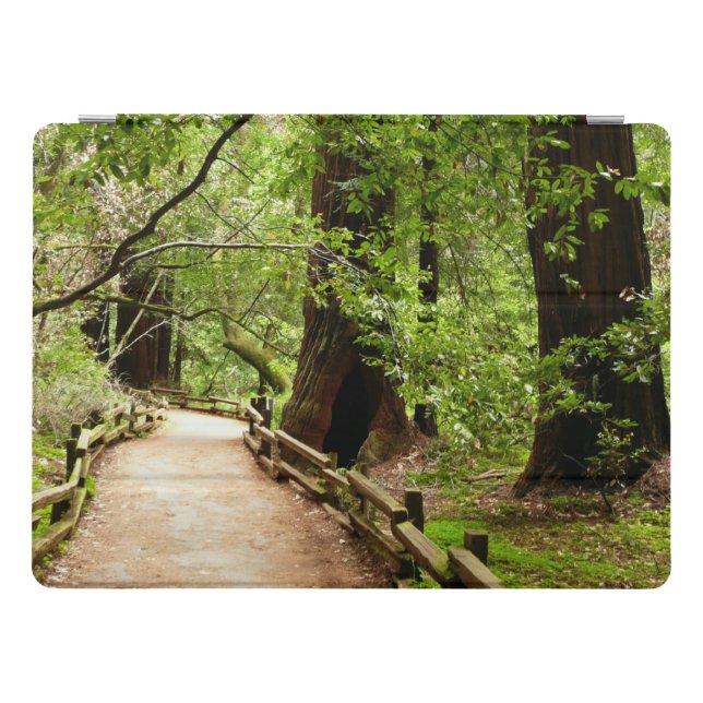 Muir Woods Path II Nature Photography iPad Pro Cover (Horizontal)