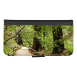 Muir Woods Path II Nature Photography iPhone 8/7 Wallet Case