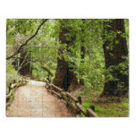 Muir Woods Path II Nature Photography Jigsaw Puzzle