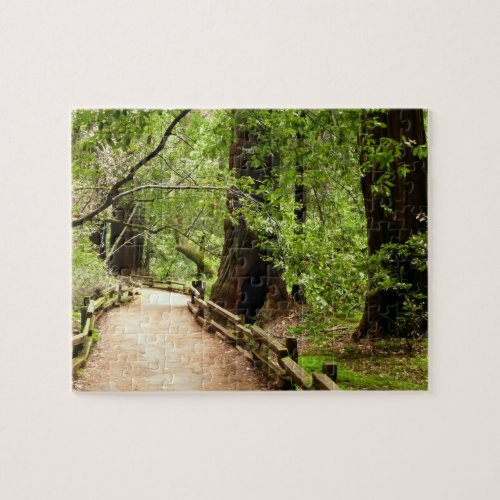 Muir Woods Path II Nature Photography Jigsaw Puzzle