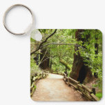 Muir Woods Path II Nature Photography Keychain