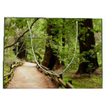 Muir Woods Path II Nature Photography Large Gift Bag