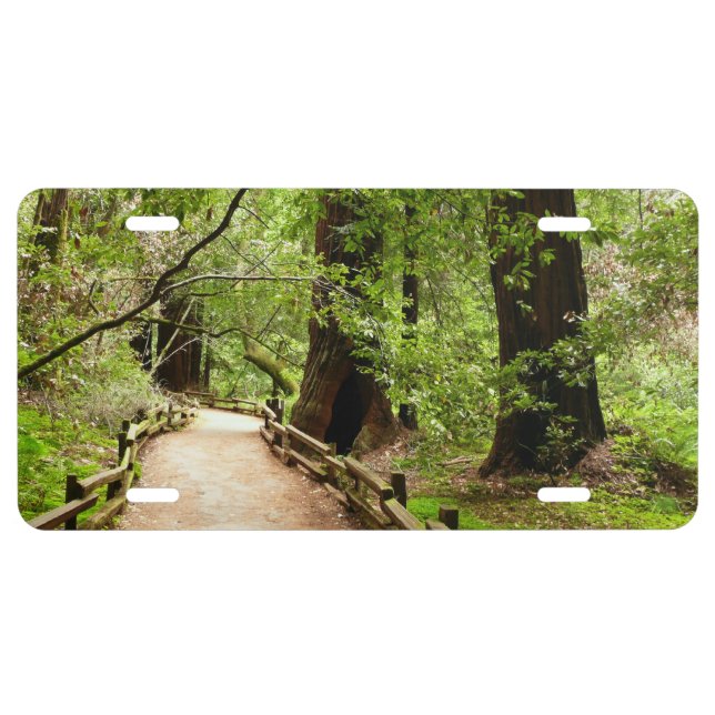 Muir Woods Path II Nature Photography License Plate (Front)