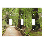 Muir Woods Path II Nature Photography Light Switch Cover