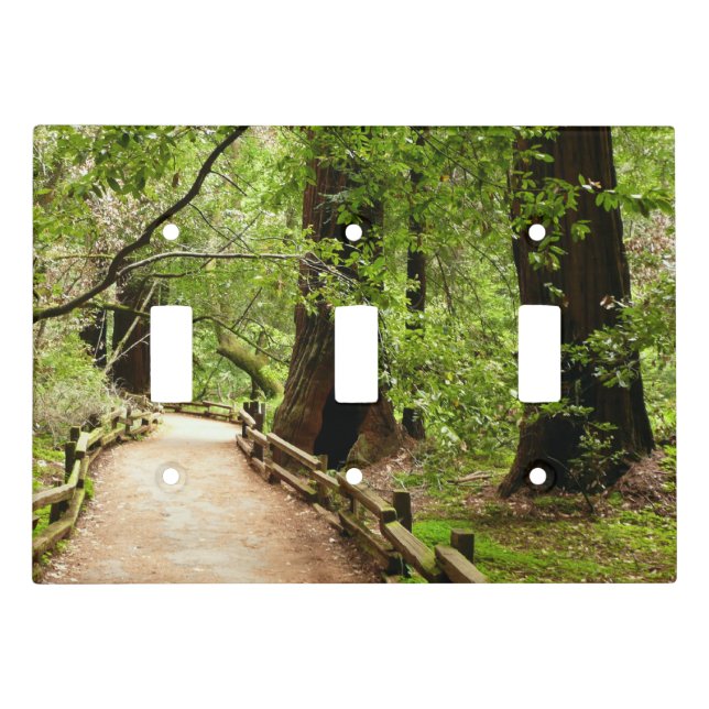 Muir Woods Path II Nature Photography Light Switch Cover (Front)