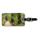Muir Woods Path II Nature Photography Luggage Tag
