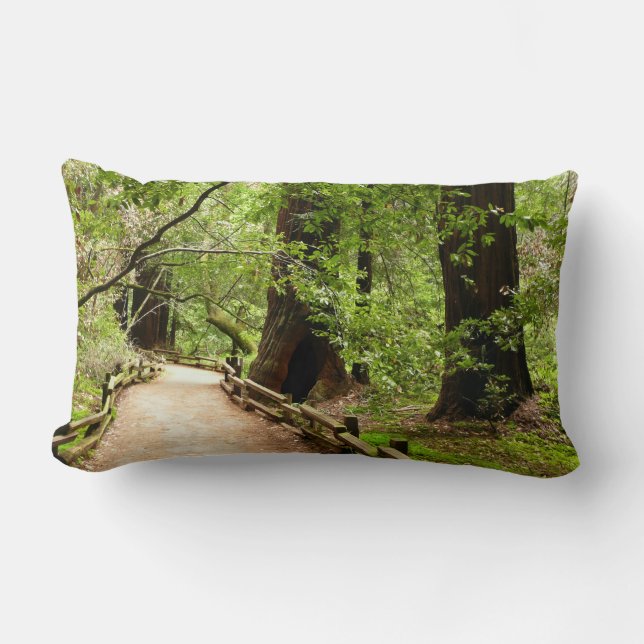 Muir Woods Path II Nature Photography Lumbar Pillow (Front)