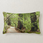 Muir Woods Path II Nature Photography Lumbar Pillow