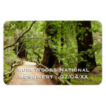 Muir Woods Path II Nature Photography Magnet