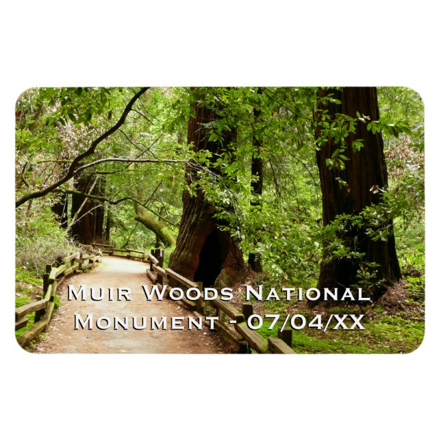 Muir Woods Path II Nature Photography Magnet (Horizontal)