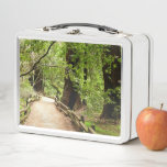 Muir Woods Path II Nature Photography Metal Lunch Box