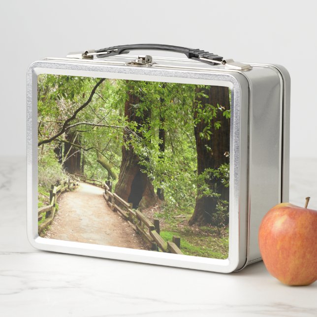 Muir Woods Path II Nature Photography Metal Lunch Box (In Situ)