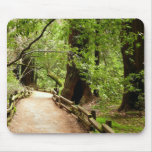 Muir Woods Path II Nature Photography Mouse Pad
