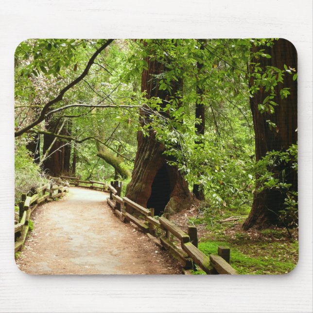 Muir Woods Path II Nature Photography Mouse Pad (Front)