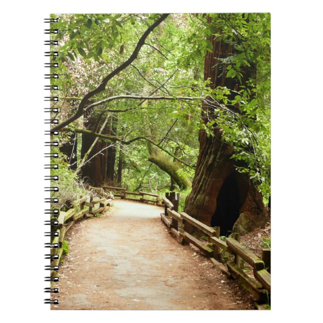 Muir Woods Path II Nature Photography Notebook (Front)
