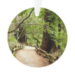 Muir Woods Path II Nature Photography Ornament