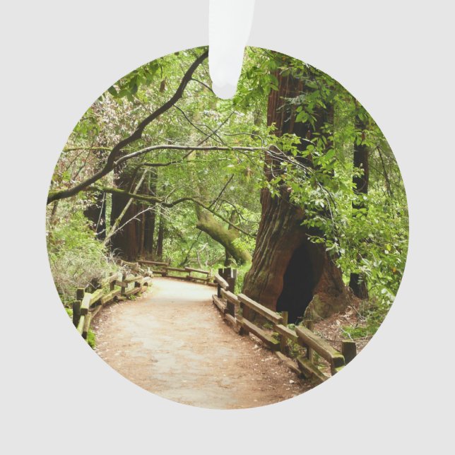 Muir Woods Path II Nature Photography Ornament (Front)
