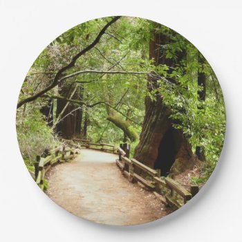 Muir Woods Path Ii Nature Photography Paper Plates by mlewallpapers at Zazzle
