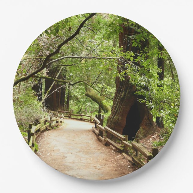 Muir Woods Path II Nature Photography Paper Plates (Front)