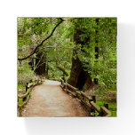 Muir Woods Path II Nature Photography Paperweight