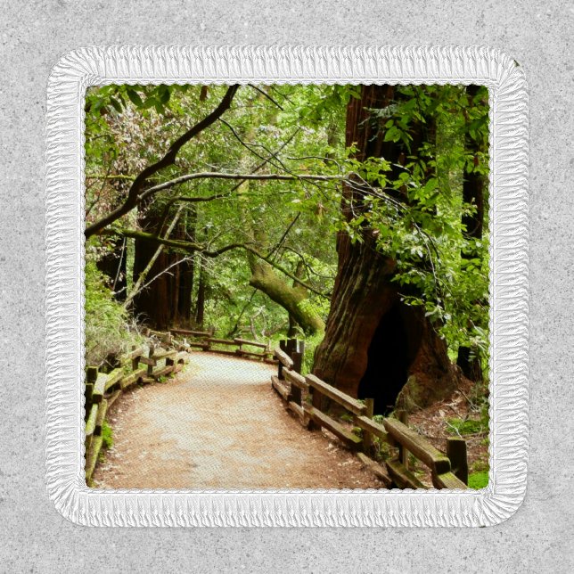 Muir Woods Path II Nature Photography Patch (Front)