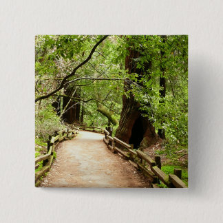 Muir Woods Path II Nature Photography Pinback Button