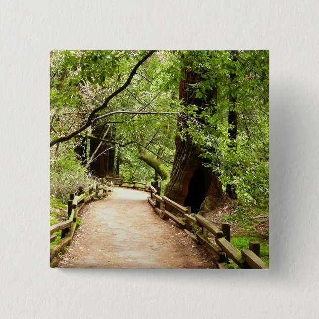 Muir Woods Path II Nature Photography Pinback Button (Front)