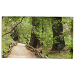 Muir Woods Path II Nature Photography Place Card Holder