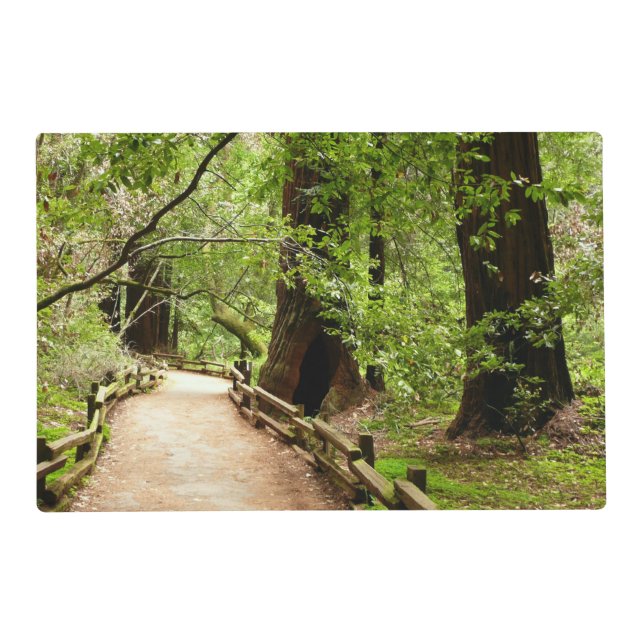 Muir Woods Path II Nature Photography Placemat (Front)
