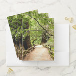 Muir Woods Path II Nature Photography Pocket Folder